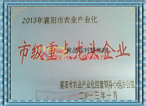 市級(jí)重點(diǎn)龍頭企業(yè)