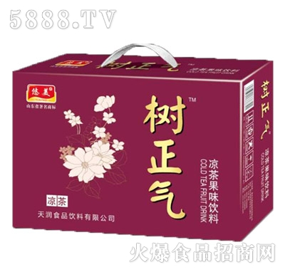 悠美樹(shù)正氣涼茶果味飲料箱裝