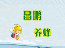 �����ݳǲ��i�B(y��ng)�����޹�˾