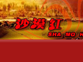 �½�ɳĮ�t���I(y��)���޹�˾