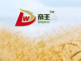 ���յ������F(tu��n)