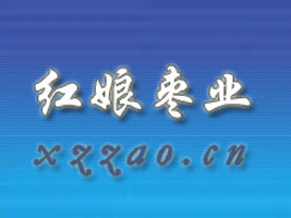 �����мt��I(y��)���޹�˾