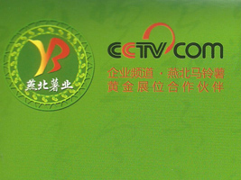 ���ҿ����౱��I(y��)�_�l(f��)���޹�˾