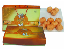 ٝ�ʿh�R����(y��u)�|���Ҍ��I(y��)������