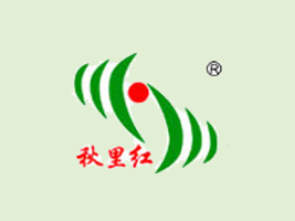 �S��п׵궬���_�l(f��)���޹�˾