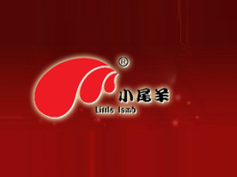 ��(n��i)�ɹ�Сβ�����B�i�ɷ����޹�˾