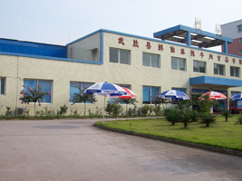 ��ٿh��������ţ��ʳƷ���޹�˾