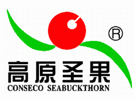 ɽ����ԭʥ��ɳ���������޹�˾