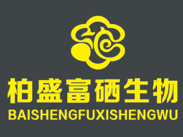 ������ʢ��������Ƽ����޹�˾