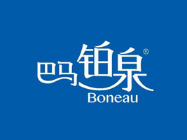 �V�����R��ȫ������޹�˾