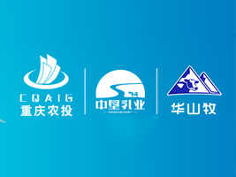 �Љ��Aɽ����I(y��)���޹�˾