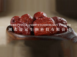 �����y������Ƽ����޹�˾