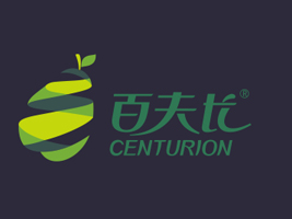 �Ĵ��ٷ��L(zh��ng)�����Ʒ�ɷ����޹�˾