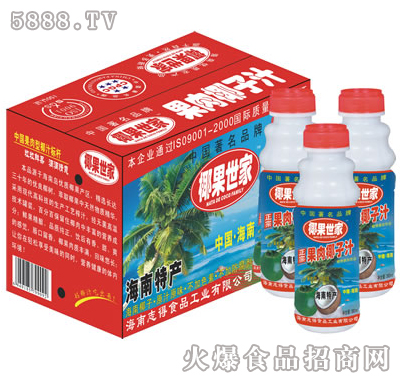 380mlx15PT果肉椰汁
