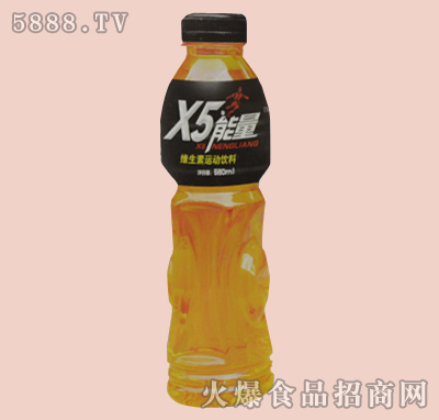 X5能量運(yùn)動飲料580ml