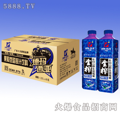 勁爵德瑪西亞藍(lán)莓果汁飲料1.25L×8瓶
