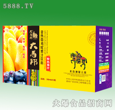 ���R���{ݮâ����֭����b310mlX15