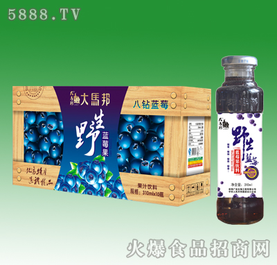 ���R���{ݮ֭���310mlX10