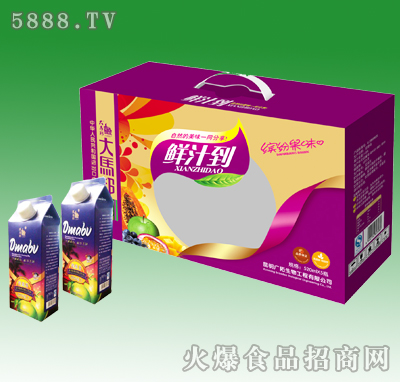 520mlX5���R������ɏ֭