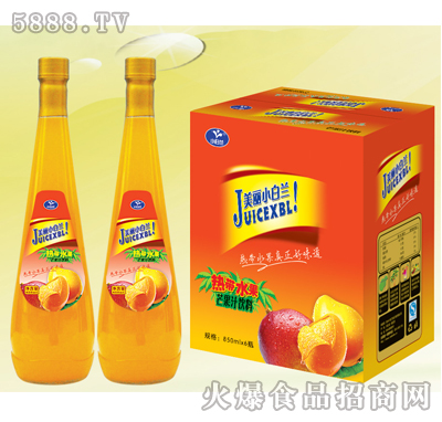 С���mâ��֭���828mlX6