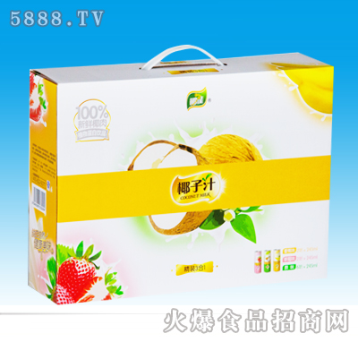 椰能椰子汁聽裝禮盒