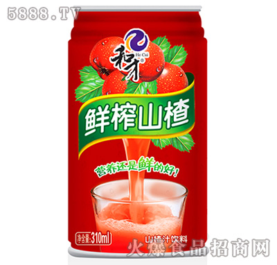 310ml�Ͳ��rեɽ�֭���