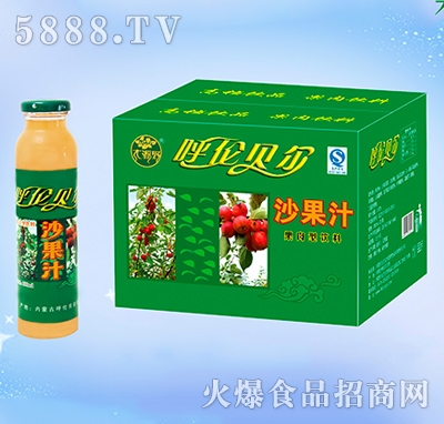 ��ԴҰ��֭���ɳ��֭300ml��20ƿ