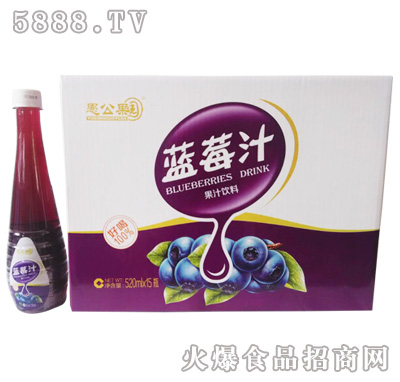 520mlx15瓶愚公果園藍莓汁