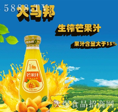 ���R��â��֭336ml