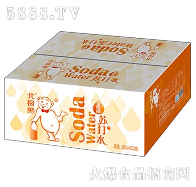 ���O���K��ˮ���ζ380mlx24ƿ���b