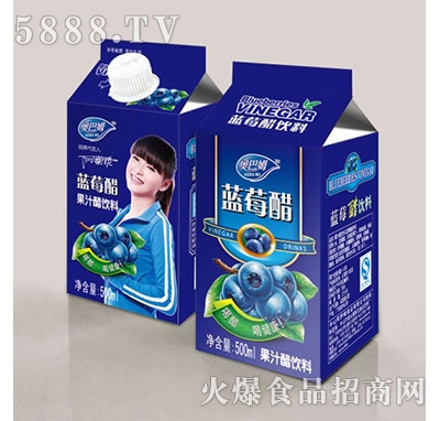 500mlx15盒藍(lán)莓醋