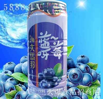 ���R���{(l��n)ݮ֭���960ml