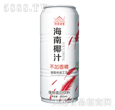 960ml熱帶印象海南椰汁