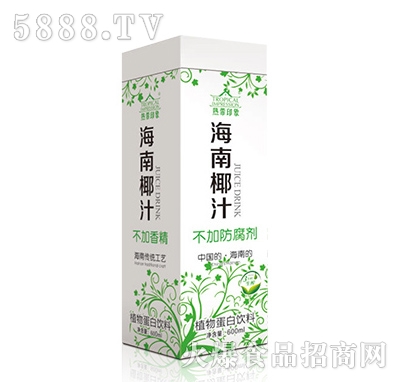 600ml熱帶印象海南椰汁盒裝青