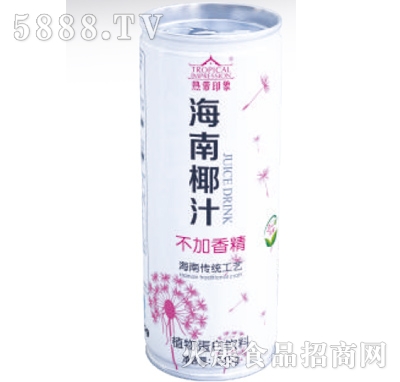 245g熱帶印象海南椰汁植物蛋白飲料粉