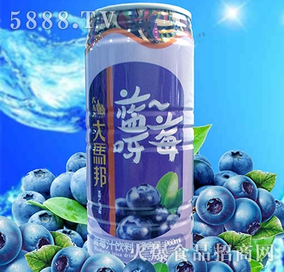 ���R���{(l��n)ݮ֭960ml