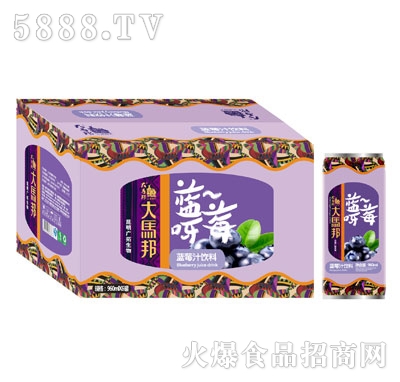 ���R���{ݮ֭���960mlx6ƿ