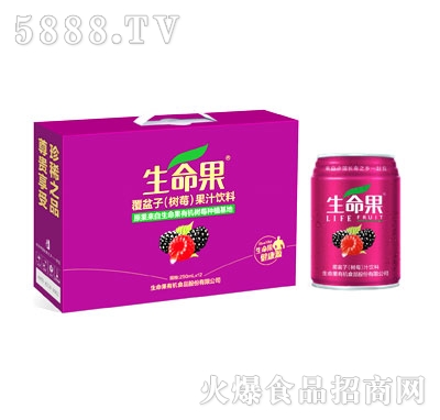 �����������ӣ���ݮ����֭���