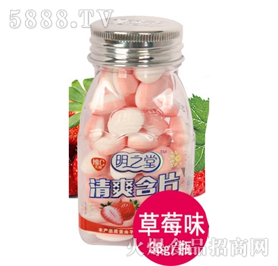 ��֮����ˬ��Ƭ��ݮζ38g