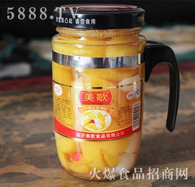 ����ʲ�\���^