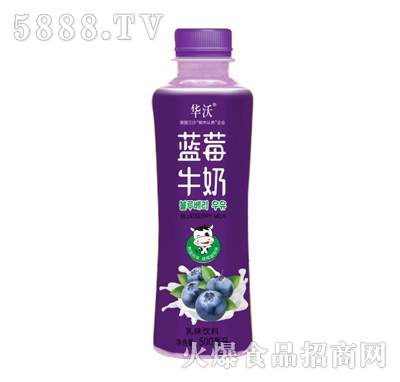 華沃藍(lán)莓牛奶500ml