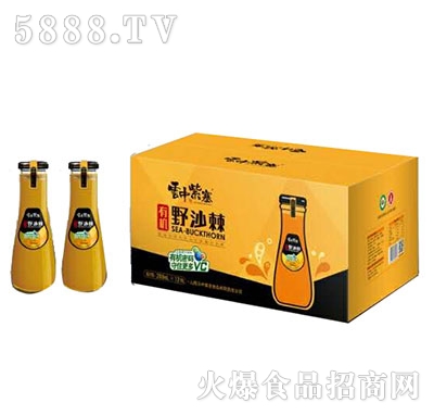 ��������Ұɳ��֭��