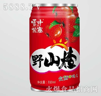 ��������Ұɽ�310ml