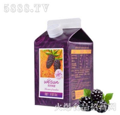 �(y��ng)��ζ��ɣ�֭500mL