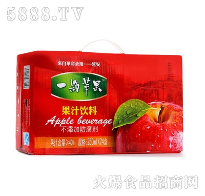 һ�w�O(p��ng)���O(p��ng)��֭���250mlx24��