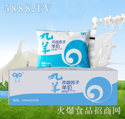 �����p����������