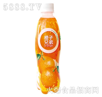 �����ֵܳ�֭500ml