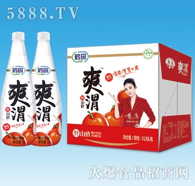 �Q�@ˬμҰɽ�֭���1Lx6ƿ