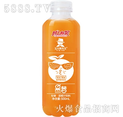 500ml�p�ݹ�����������֭���֭���