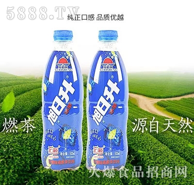 ������ȼ��